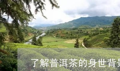 了解普洱茶的身世背景/2023100684737