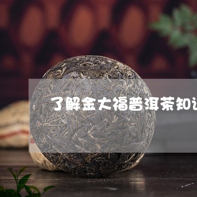 了解金大福普洱茶知识点/2023112861603