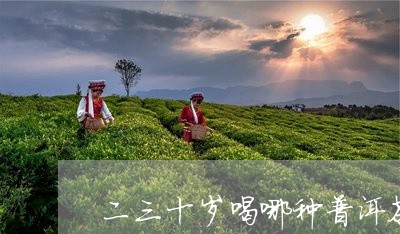 二三十岁喝哪种普洱茶/2023062975168