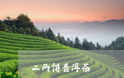 二两饼普洱茶/2023081821514