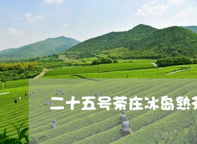 二十五号茶庄冰岛熟茶/2023061207491