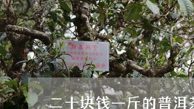 二十块钱一斤的普洱茶/2023061471503