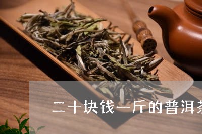 二十块钱一斤的普洱茶/2023092650503