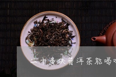 二十多块普洱茶能喝吗/2023061509261