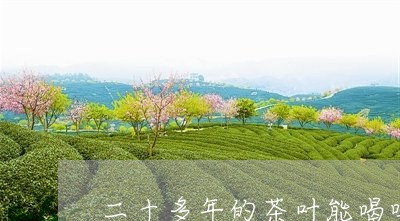 二十多年的茶叶能喝吗/2023061004937