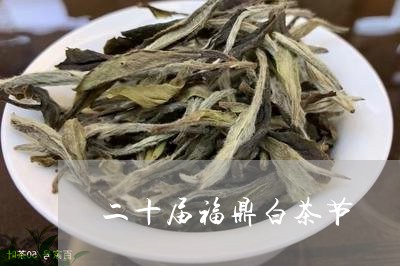 二十届福鼎白茶节/2023111658189