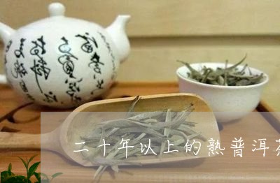 二十年以上的熟普洱茶/2023062103727