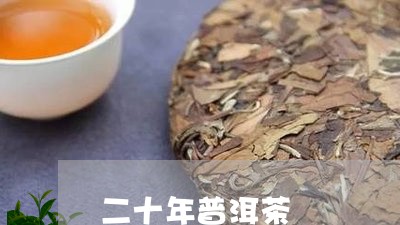 二十年普洱茶/2023042980524