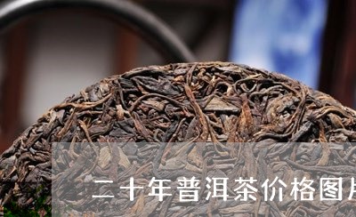 二十年普洱茶价格图片/2023072492695