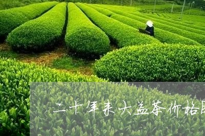 二十年来大益茶价格图/2023071682796