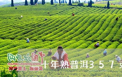 二十年熟普洱357克普洱熟茶价格/2023060394939