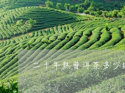 二十年熟普洱茶多少钱/2023061525150