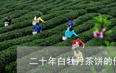 二十年白牡丹茶饼的价格/2023092241825