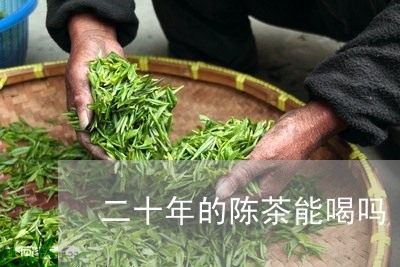 二十年的陈茶能喝吗/2023042128349