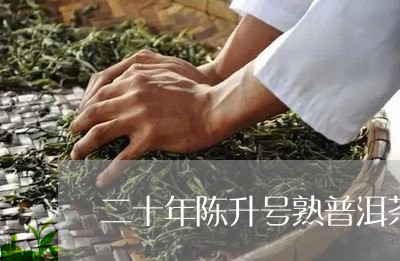 二十年陈升号熟普洱茶/2023093073728