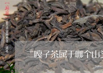 二嘎子茶属于哪个山头普洱茶/2023052967371