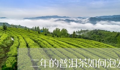 二年的普洱茶如何泡发好/2023112782716