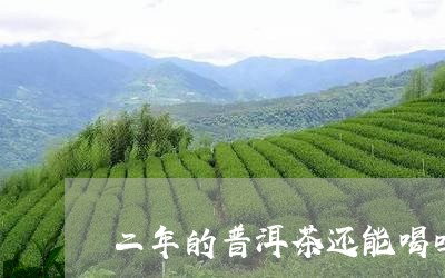 二年的普洱茶还能喝吗/2023092646037