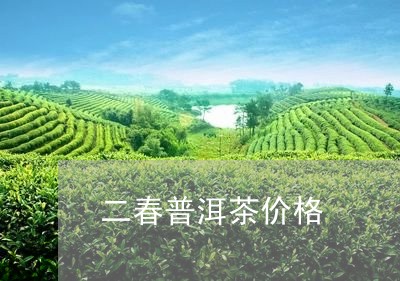 二春普洱茶价格/2023081598724