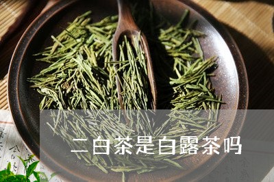 二白茶是白露茶吗/2023061495150