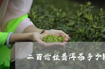 二百价位普洱茶多少钱一克/2023110596059