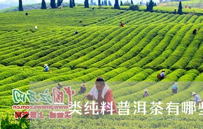 二类纯料普洱茶有哪些/2023120685369