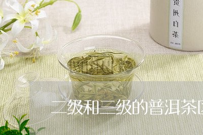 二级和三级的普洱茶区别/2023050526058