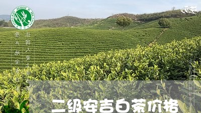 二级安吉白茶价格/2023061406281