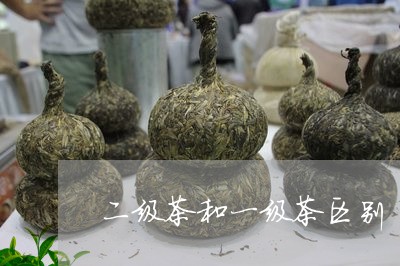 二级茶和一级茶区别/2023042299492