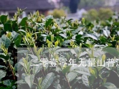 二零壹零年无量山普洱茶价格/2023052759480