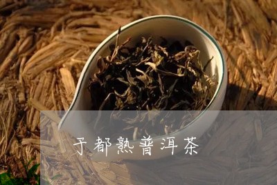 于都熟普洱茶/2023042710209