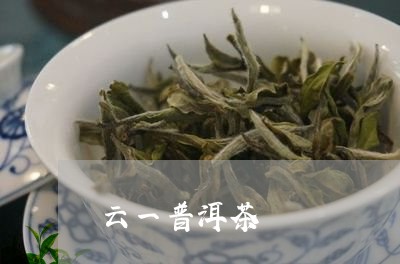 云一普洱茶/2023081820492