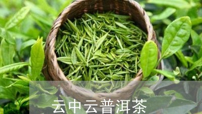 云中云普洱茶/2023042932044