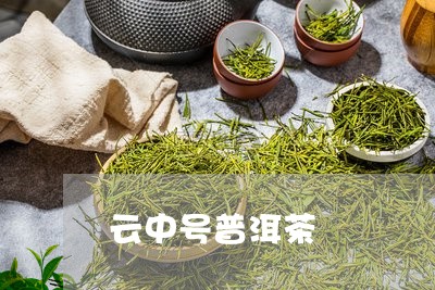 云中号普洱茶/2023112626260