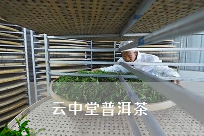 云中堂普洱茶/2023042794469