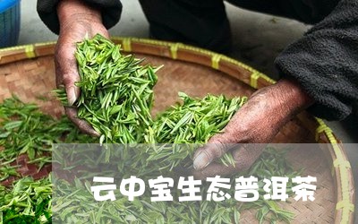 云中宝生态普洱茶/2023120422607