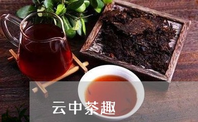 云中茶趣/2023110975168