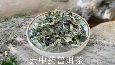 云中药普洱茶/2023042790513