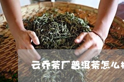 云乔茶厂普洱茶怎么样/2023092746150