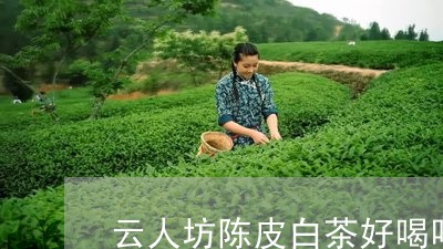 云人坊陈皮白茶好喝吗/2023111522638