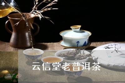 云信堂老普洱茶/2023081832724