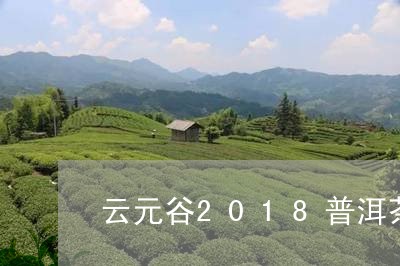 云元谷2018普洱茶/2023100651837