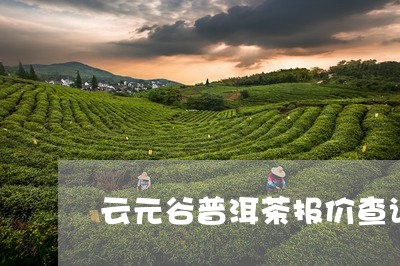 云元谷普洱茶报价查询/2023120658361