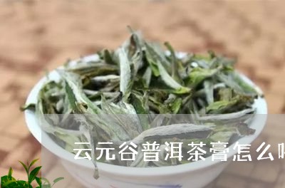 云元谷普洱茶膏怎么喝/2023092882494