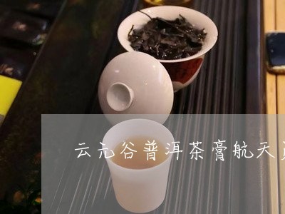 云元谷普洱茶膏航天员/2023120612613