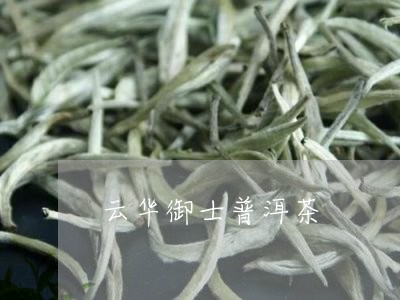 云华御士普洱茶/2023082846370