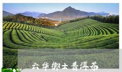 云华御士普洱茶/2023110550504