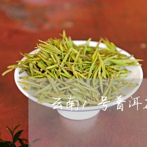 云南1号普洱茶/2023101674926