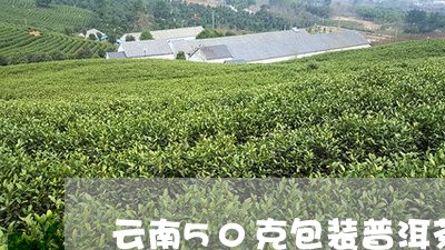 云南50克包装普洱茶怎么样/2023052887170