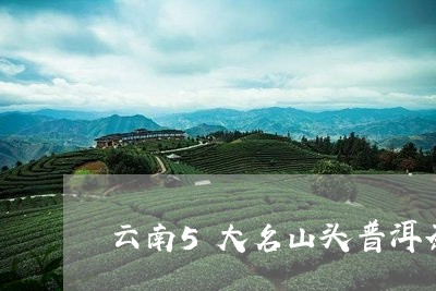 云南5大名山头普洱茶/2023093013847